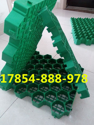 歡迎光臨、南京停車位植草格))股份丨歡迎您_南京植草格,南京停車位植草格,南京植草格公司,植草格,停車位植草格_供應(yīng)信息_中國(guó)安防展覽網(wǎng)